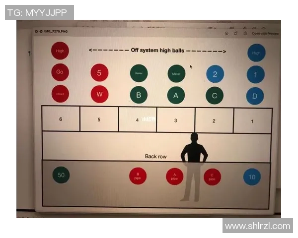 武汉排球队控制打法深度分析与战术解读探讨
