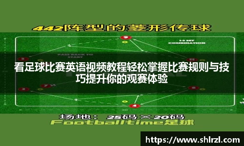 芒果体育官网入口