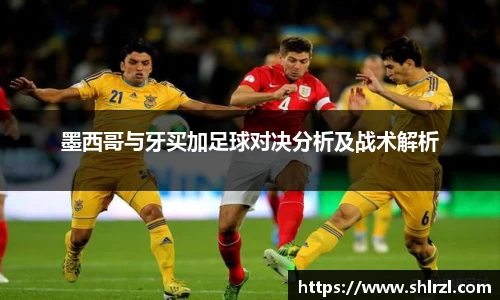 芒果体育官网入口