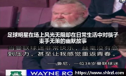 芒果体育官网入口
