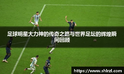芒果体育官网入口