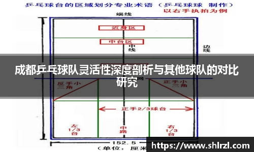 芒果体育官网入口